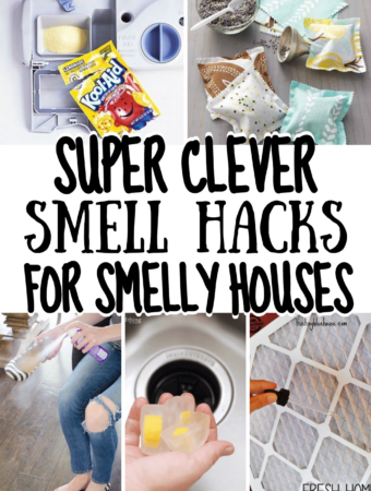 Super Clever Must Try Smell Hacks For Smelly Houses