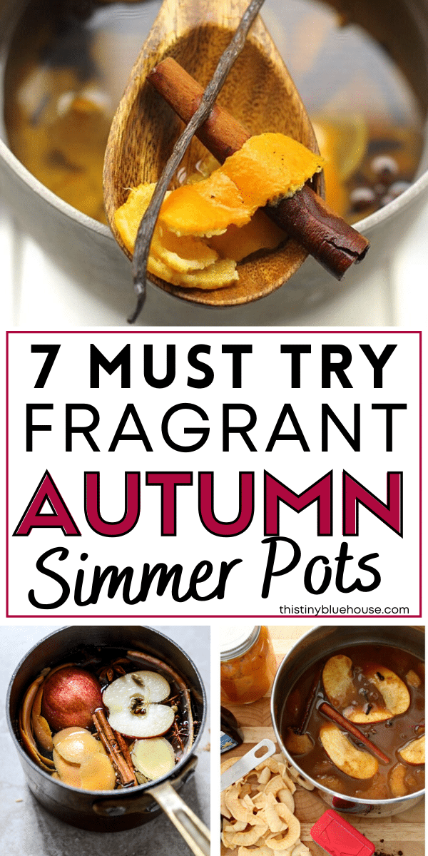 7 Must Try Cozy Fall Simmer Pots To Make Your House Smell Amazing