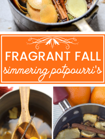 Make your home smell delicious & cozy this fall with these must try fall simmer pots. Natural & inexpensive these are the best fall simmer pot fall recipes. #falldiy #fallsmellhacks #smellhacksforthehome #diysmellhacks #autumnsmellhacks #bestsimmerpots #simmerpotrecipes #simmeringpotpourri