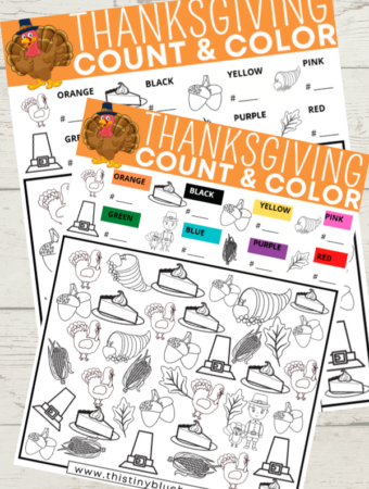 Free Printable Thanksgiving I Spy Activity For Kids