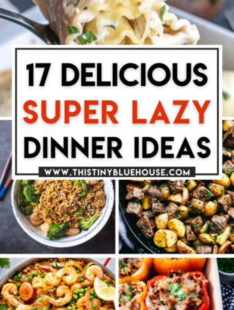17 Delicious Lazy Dinner Ideas