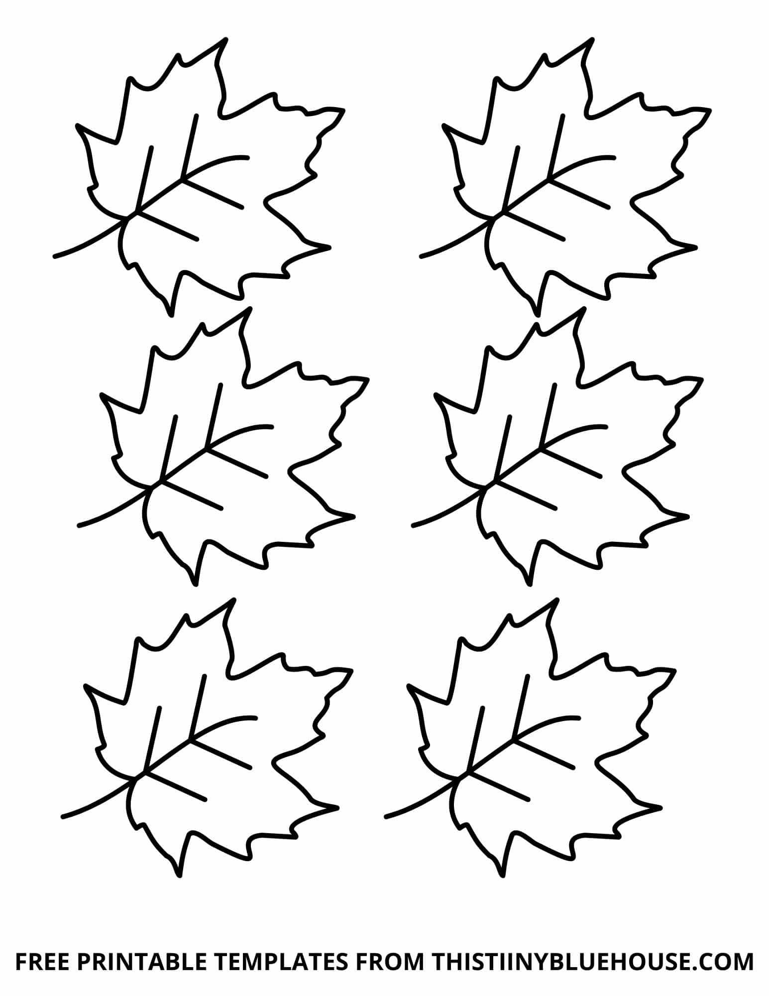 Free Leaf Template Printable 6 Sizes Of Leaf Outlines Small Medium