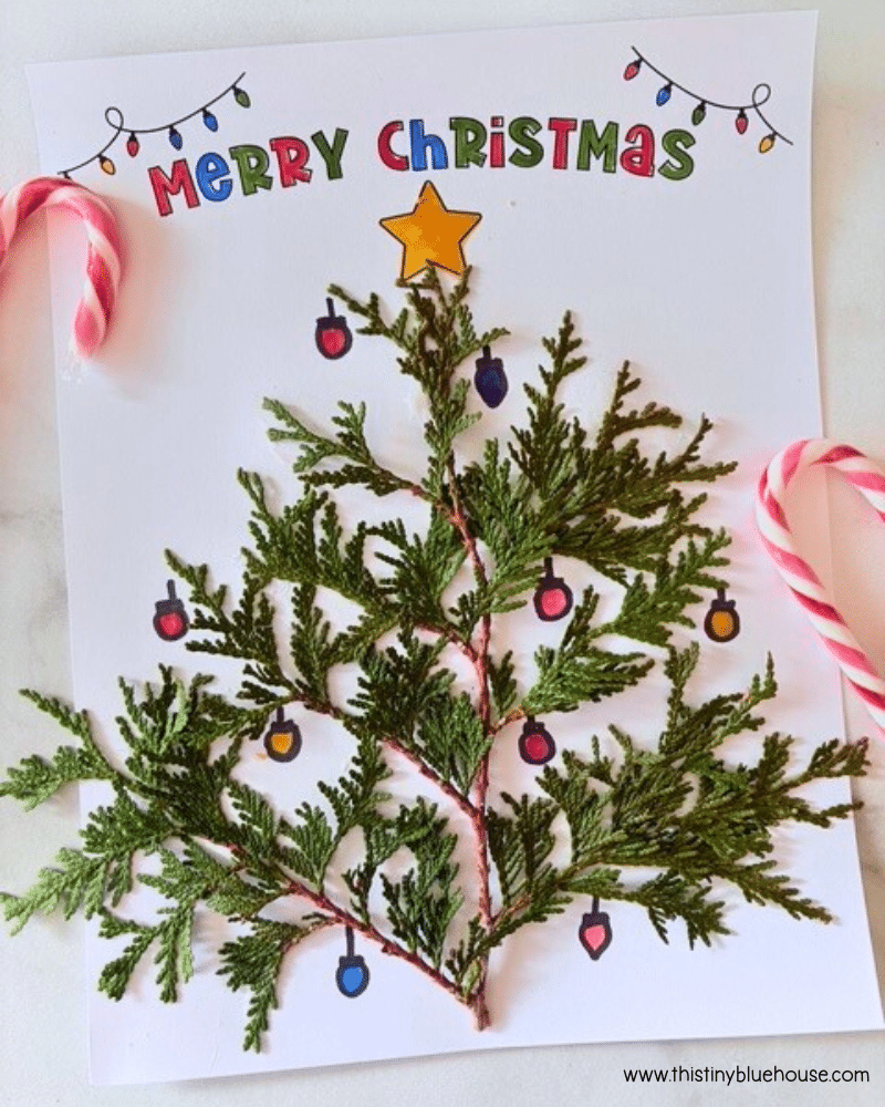 Easy Cedar Branch Christmas Tree Nature Craft (Freebie) - This Tiny ...