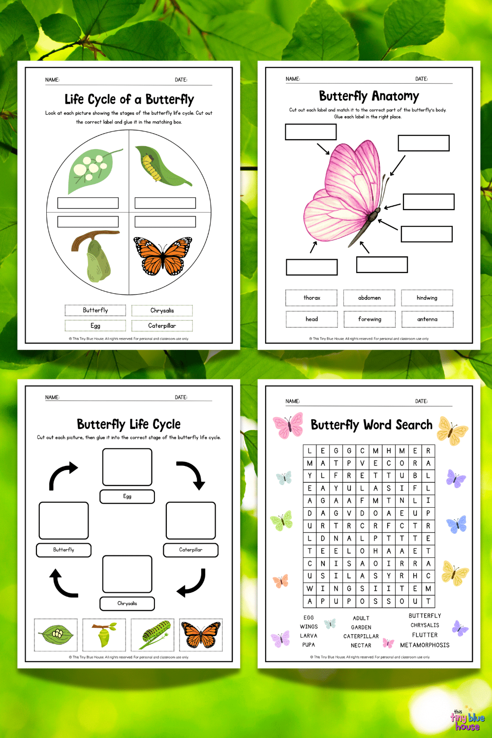 Butterfly Life Cycle Worksheets (Free Printable Bundle for Kids) - This ...